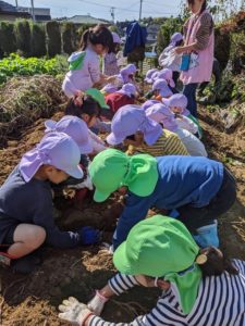 保護中: 　　　　　芋掘り2020！
