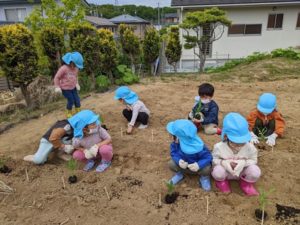 保護中: 畑に行ってきました！（そら組）